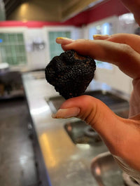 Pack Foie Gras — Truffe